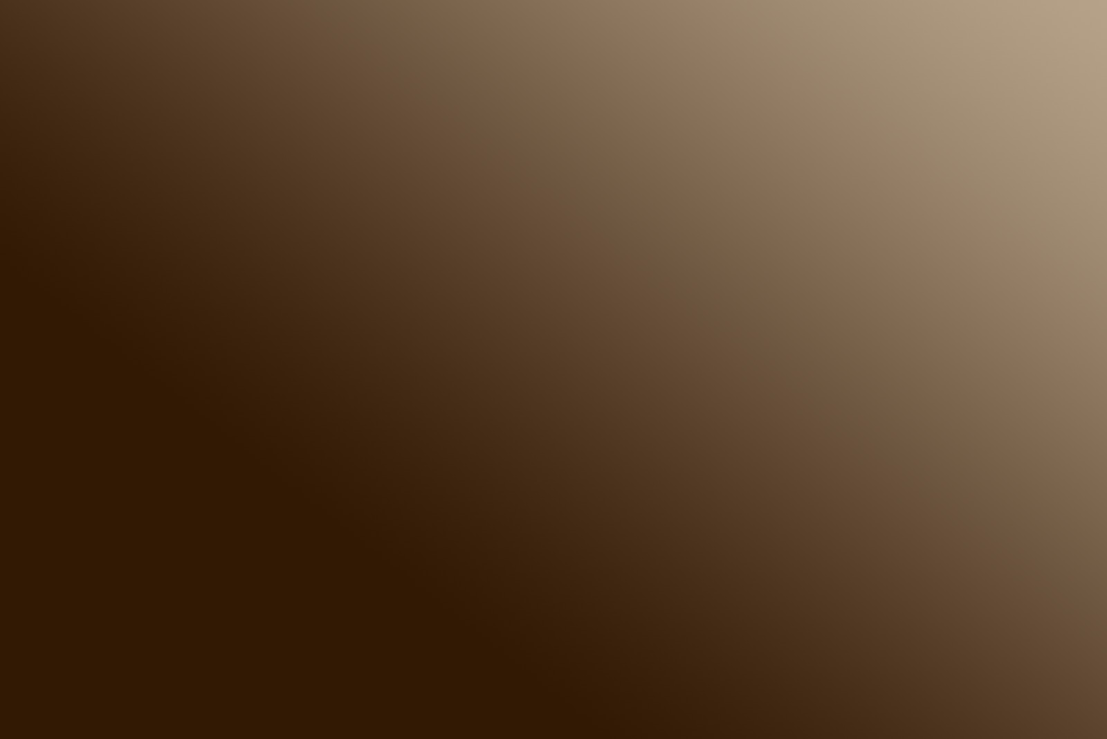 brown-pallete-background-1600x1068.png